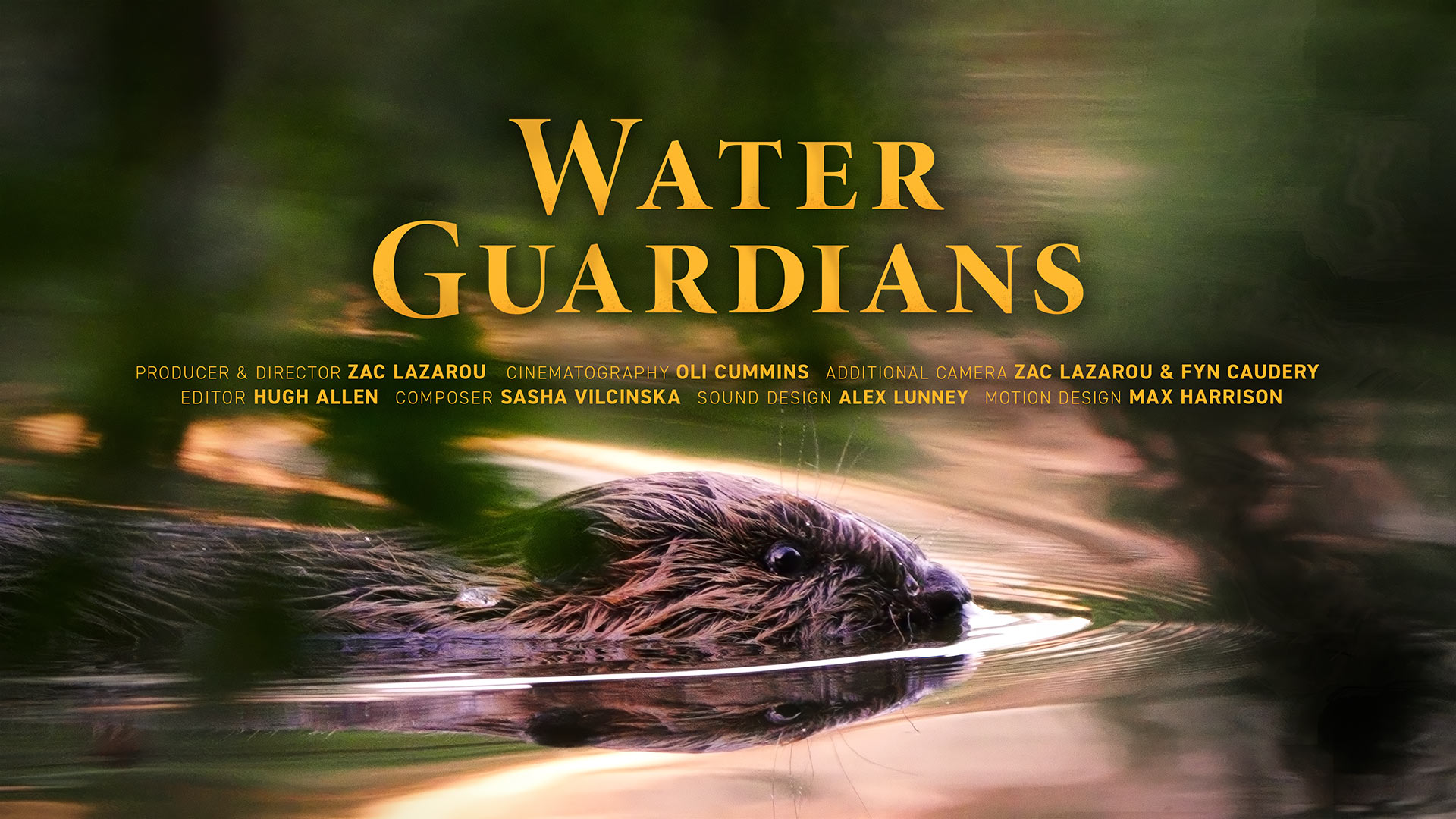 Water Guardians Film Poster