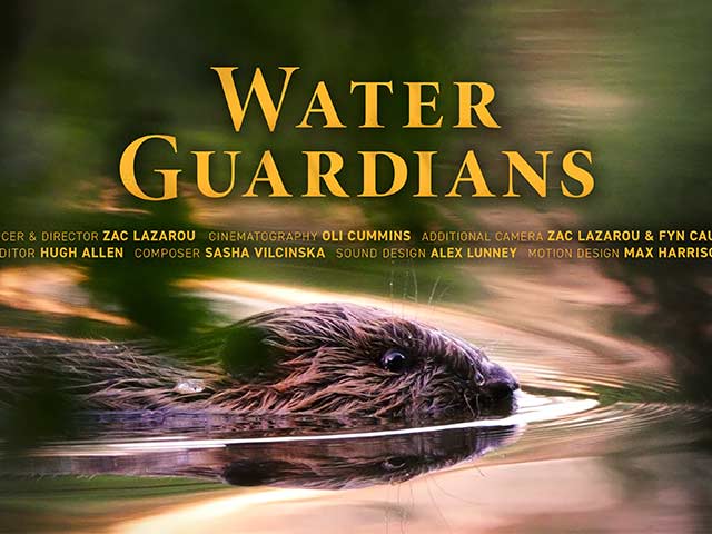 Water Guardians documentary title design